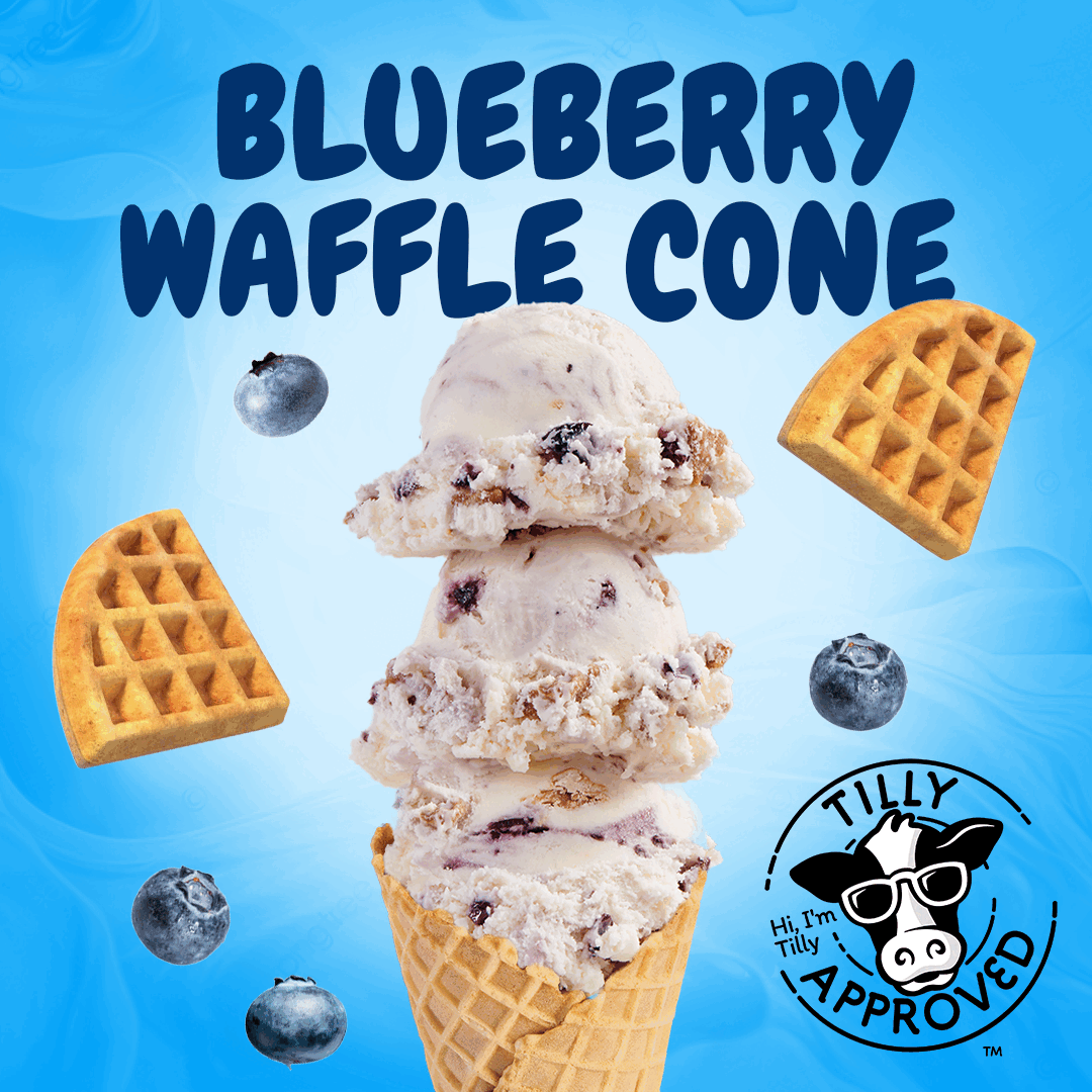 Blueberry Waffle Cone